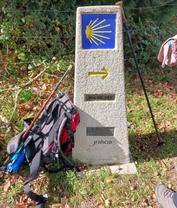 chroniques_de_compostelle.jpg