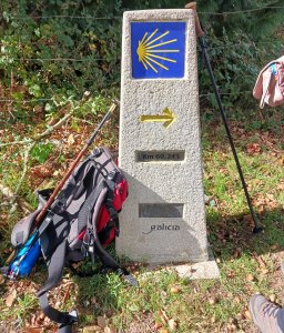 chroniques_de_compostelle.jpg