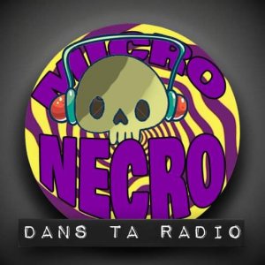 logo_micro_ncro.JPG