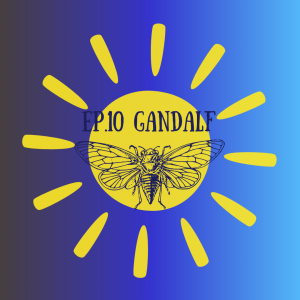 Ep_10_gandalf.png