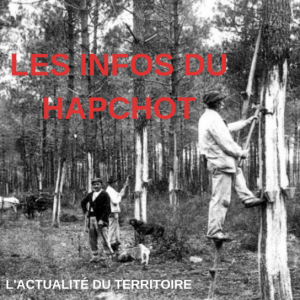 lesinfoslocales_les_infos_du_hapchot_vignette_780_544.png