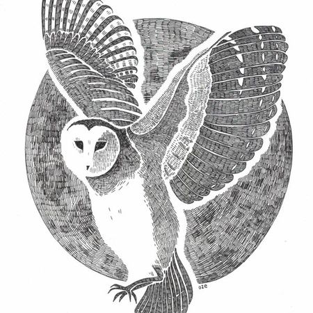 Edito de la semaine : Les animaux