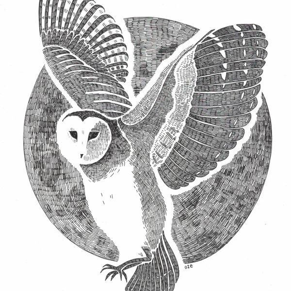 editodelasemainelesanimaux_les-animaux.jpg